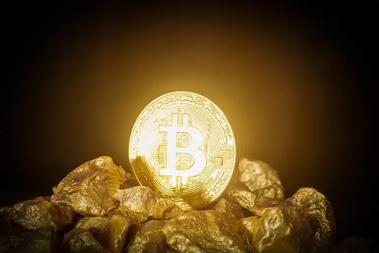 Large scale mining farm with rows of mining rigs