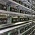 A sprawling mining farm with rows upon rows of mining rigs.