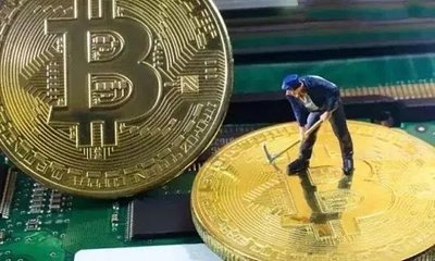 A well-managed mining farm showcasing efficiency and technology