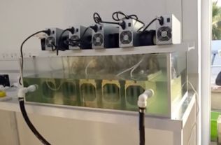 An example of a high-efficiency mining rig in action, demonstrating key factors for achieving positive ROI